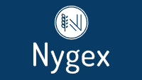 nygex neck pillow